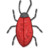 甲虫 beetle